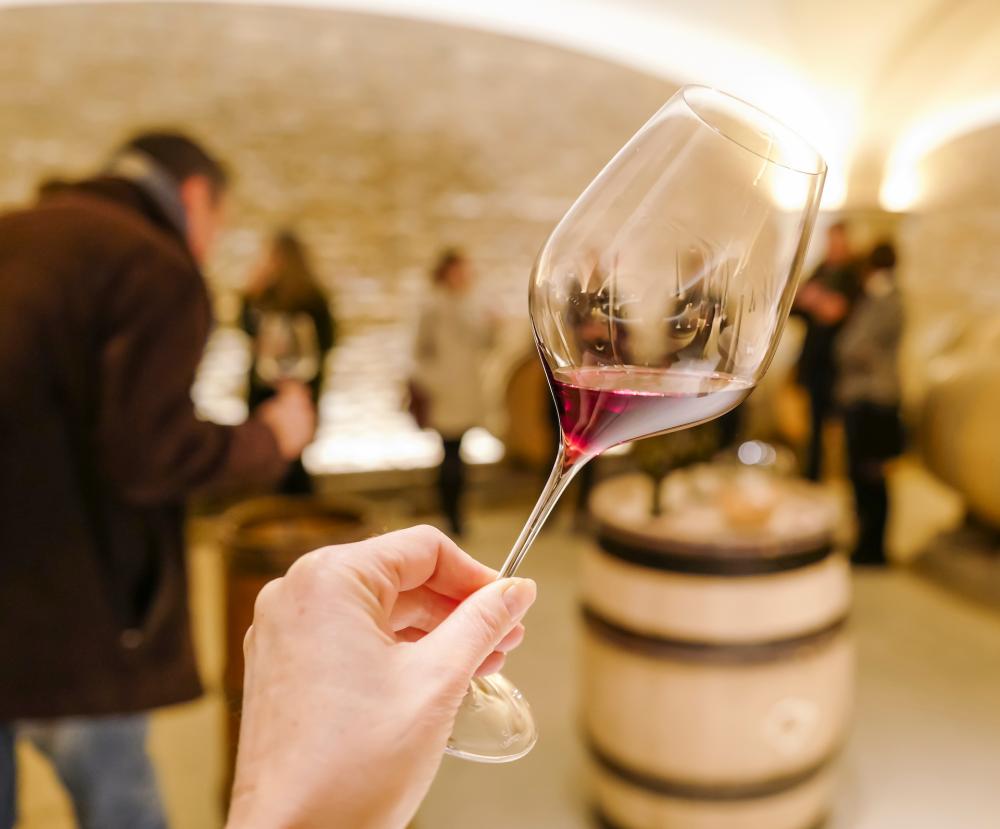 Dégustation cave à vin